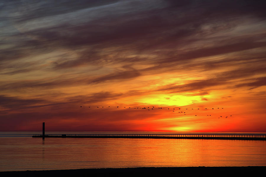 Sunrise and Geese at Charlotte Pier Photograph by Flinn Hackett