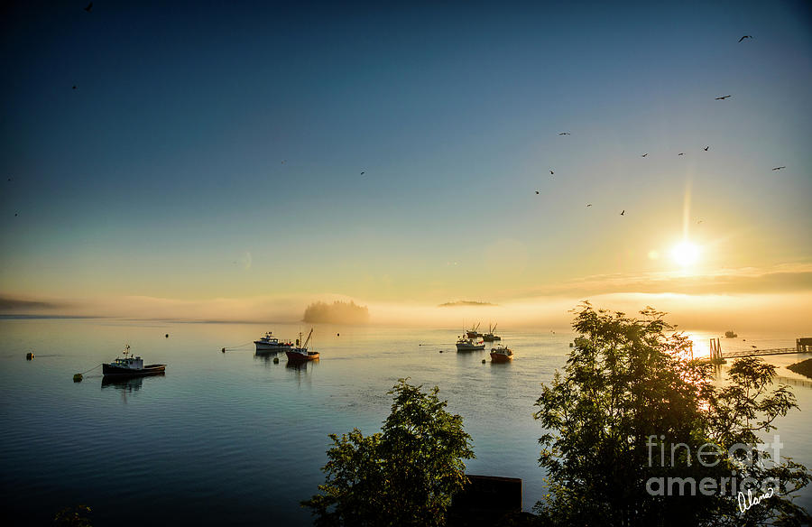 Sunrise and Seagulls Photograph by Alana Ranney
