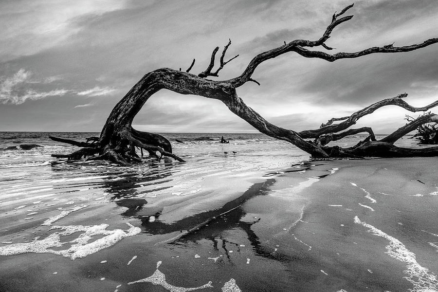 Sunrise Arch at Jekyll Island Black and White Photograph by Debra and Dave Vanderlaan