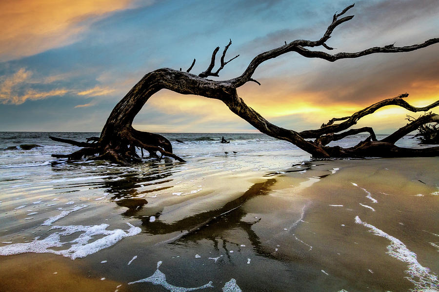 Sunrise Arch at Jekyll Island Photograph by Debra and Dave Vanderlaan