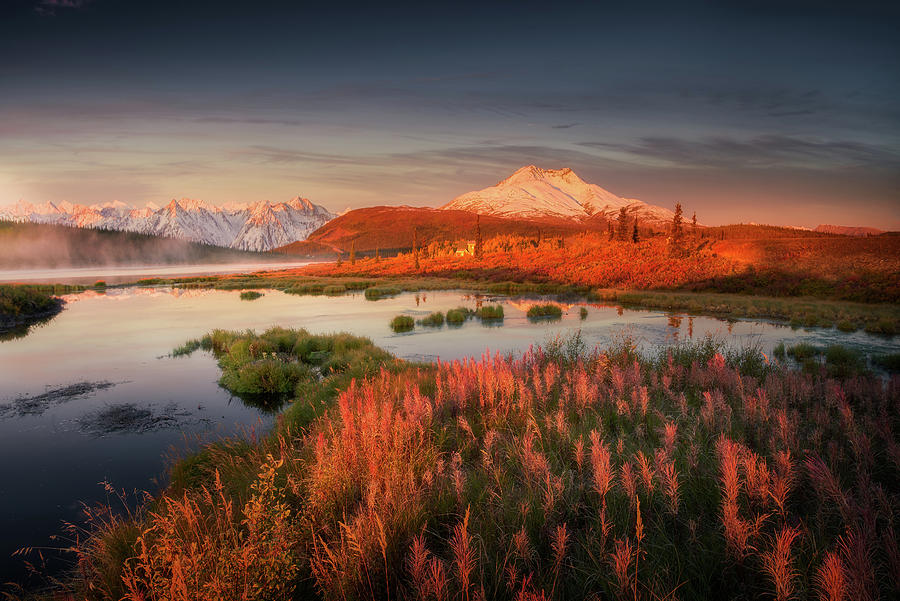 Sunrise at Alaska Photograph by Henry w Liu