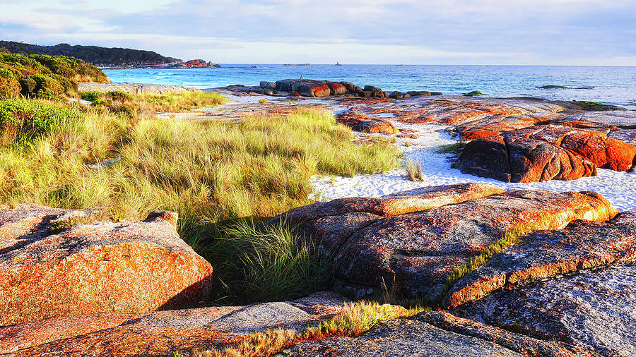 Sunrise at Bay of Fires Photograph by Lexa Harpell