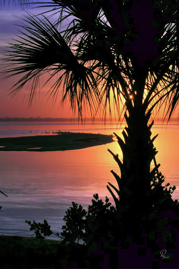 Sunrise at Bird Island Photograph by Robert Harris