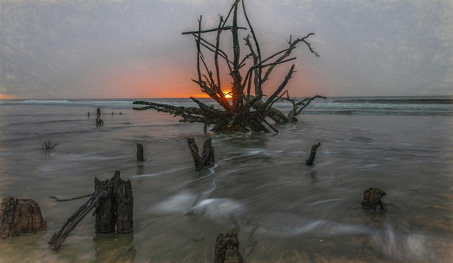 Sunrise at Boneyard Beach, Botany Bay Plantation Photograph by Marcy Wielfaert