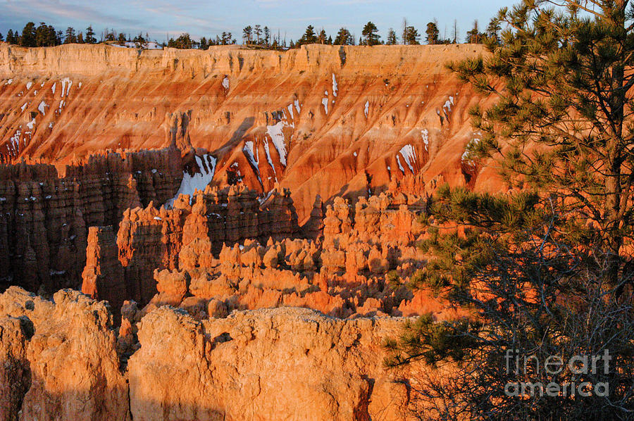 Sunrise at Bryce Canyon Sunset Point  Photograph by Bob Phillips