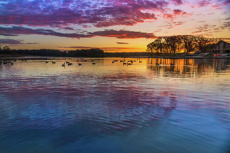 Sunrise at Busse Lake Busse Woods Elk Grove Village, Illinois USA