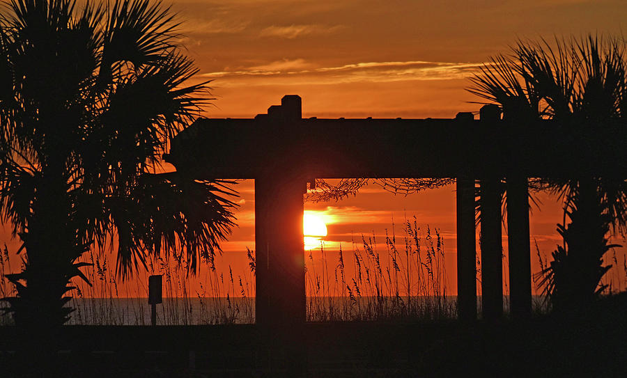 Sunrise at Carolina Beach One Photograph by Roberta Byram