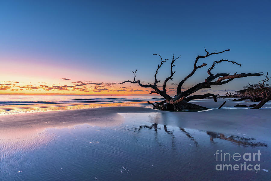 Beach Photograph - Sunrise at Driftwood Beach by Bee Creek Photography - Tod and Cynthia