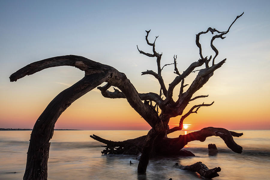 Sunrise at Driftwood Beach Photograph by Stefan Mazzola