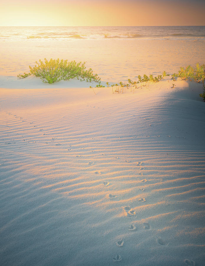 Sunrise At Gulf Islands National Seashore  Photograph by Jordan Hill