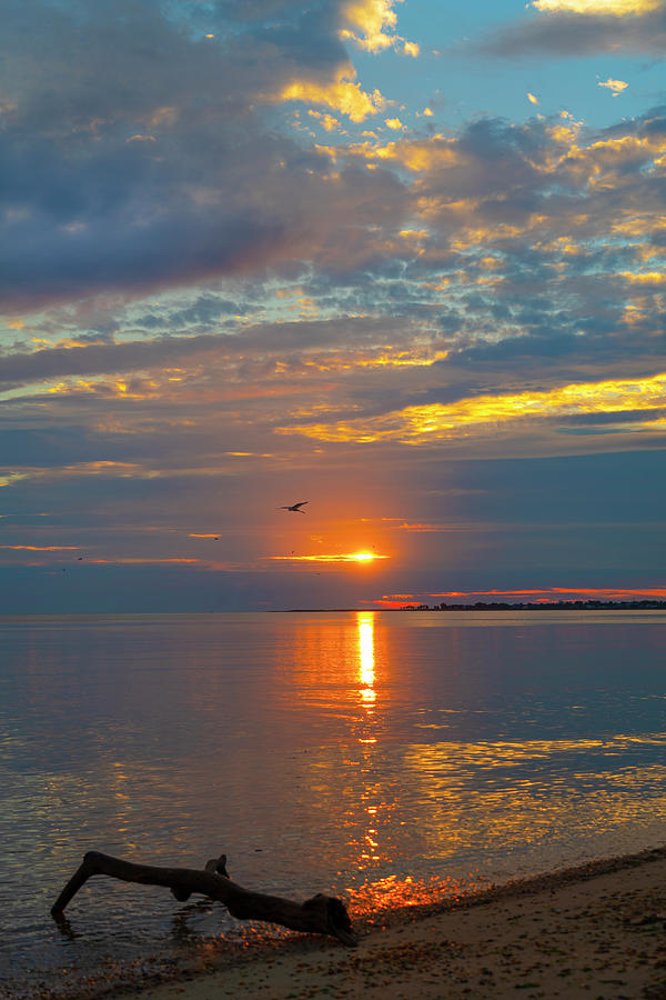 Sunrise At Jersey Shore Photograph