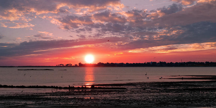 Sunrise At Jersey Shore Veteran Park Photograph