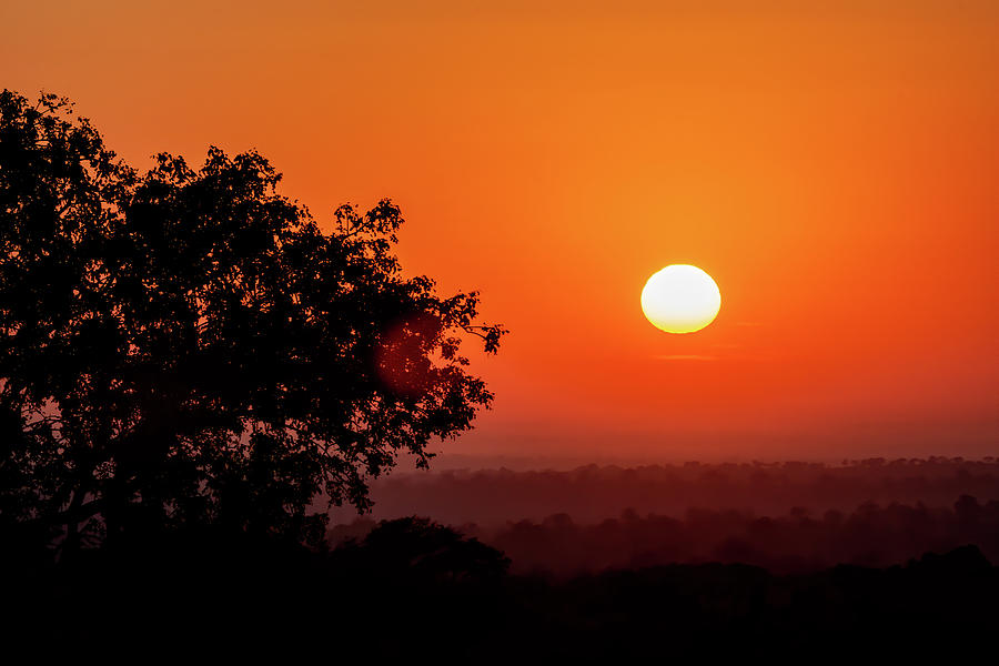Sunrise at Kruger Photograph by Douglas Wielfaert