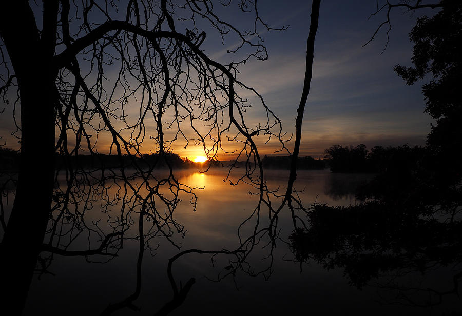 Sunrise at Lake Quinsigamond #39 Photograph by Lucio Cicuto