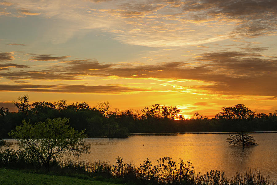 Spring Sunrise at McKinnish Park 3 Photograph by Ron Long Ltd Photography