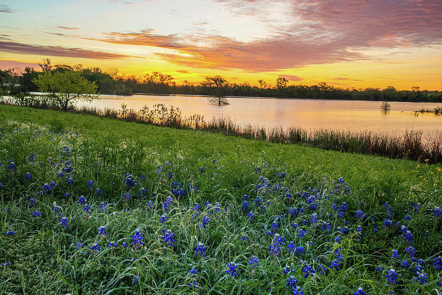 Spring Sunrise at McKinnish Park Photograph by Ron Long Ltd Photography