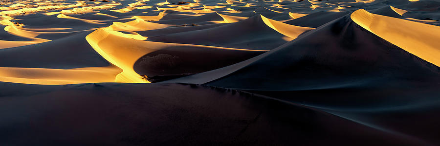 Sunrise at Mesquite Dunes  Photograph by Bryan Moore