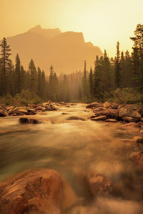 Sunrise at Mosquito Creek, Banff National Park Photograph by Yves Gagnon