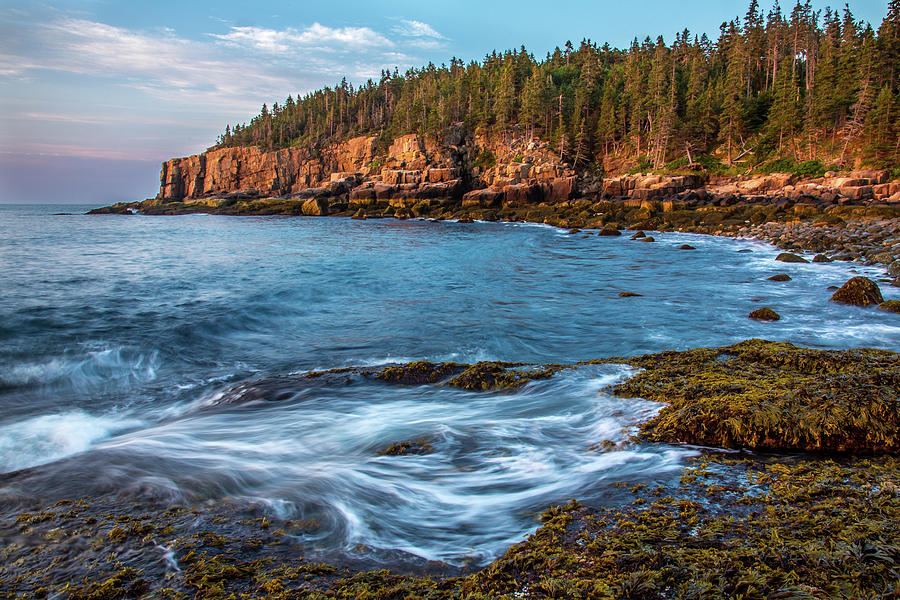 Sunrise at Otter Cliffs, Acadia National Park, Maine Photograph by Dave ...