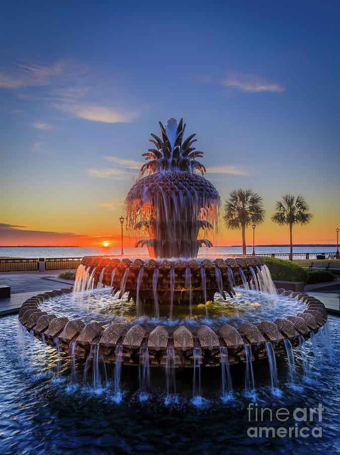 Sunrise at PIneapple Fountain Photograph by Inge Johnsson