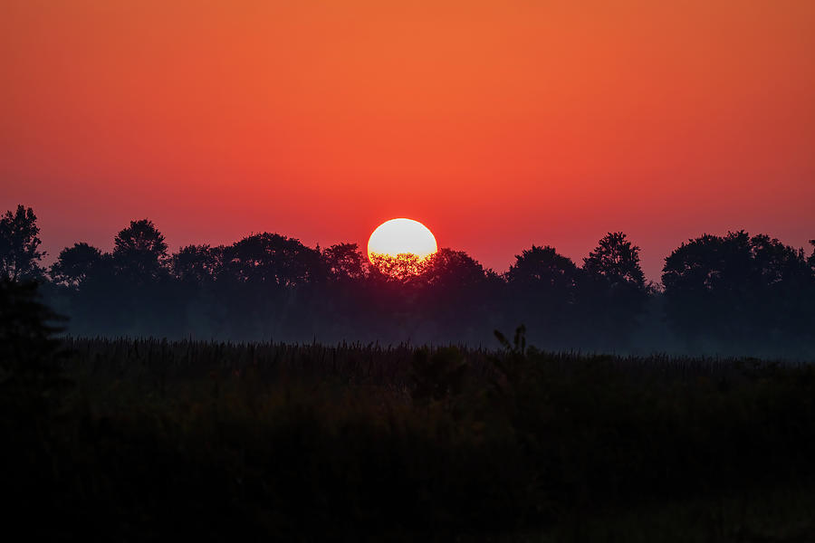 Sunrise at Pungo Photograph by Chad Meyer