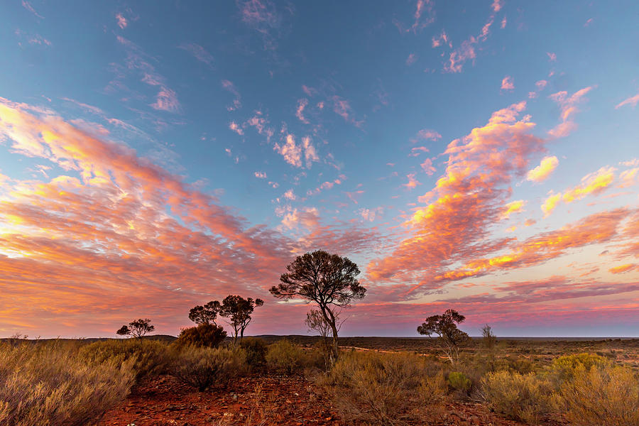 Sunrise At Snake Hill  Photograph by Robert Caddy
