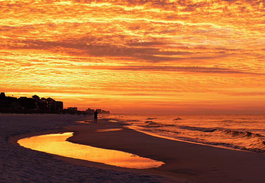 Sunrise at the Beach Photograph by Sandra Js