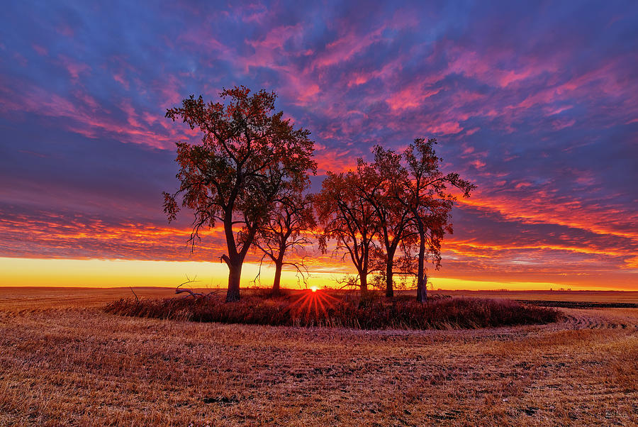 Sunrise at the Cottonwood Grove -  autumn sunrise in Benson County North Dakota Photograph by Peter Herman