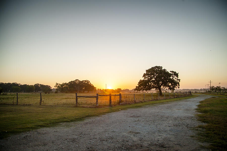 Sunrise at the Cowboys Photograph by Vanessa Lassin Photography