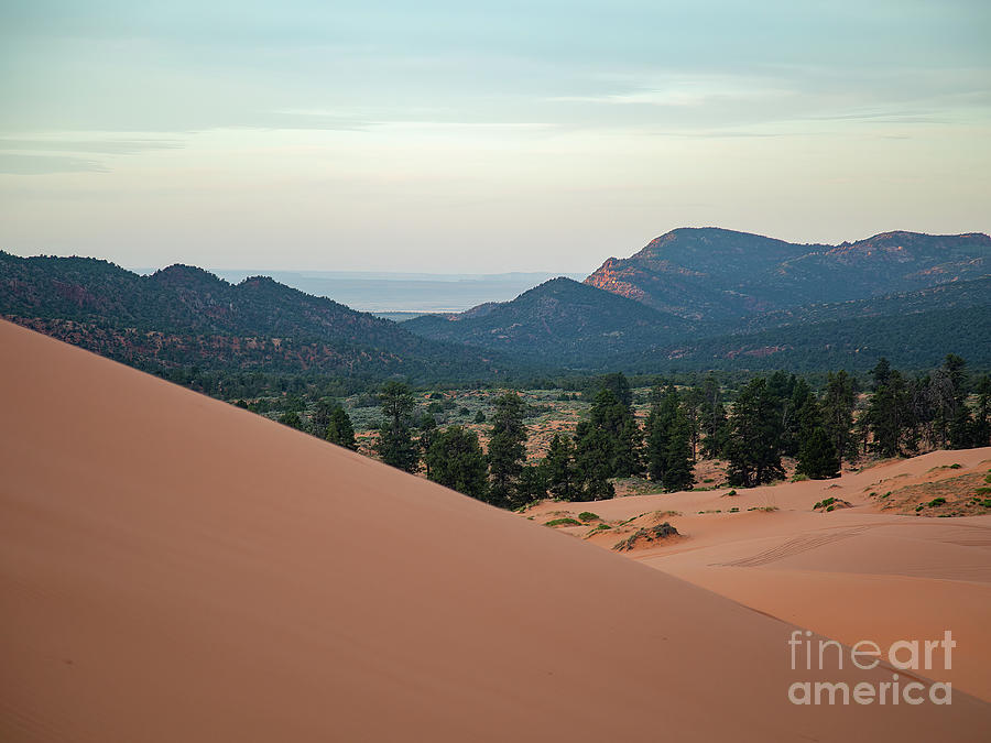 Coral Pink Sand Dunes Photograph - Sunrise at the Dunes  D0858 by Stephen Parker
