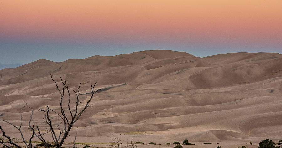 Sunrise at the dunes Photograph by Greg Wyatt