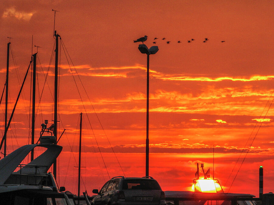 300 Photograph - Sunrise at the Harbor by Kim Lessel