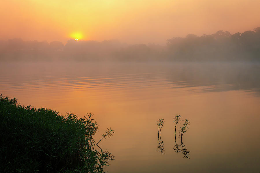 Sunrise At The Lake Photograph by Brad Mangas