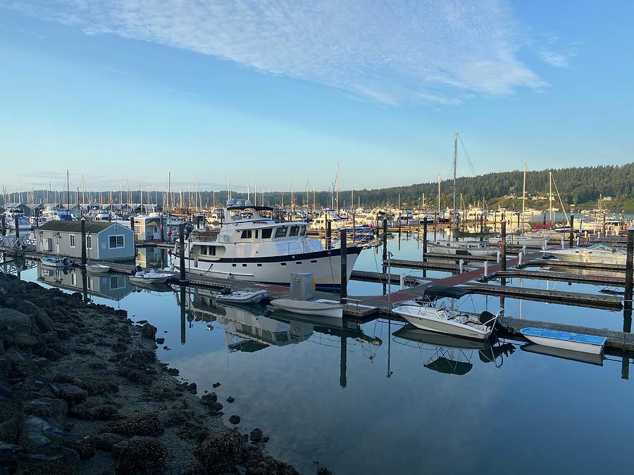 Sunrise at the Port of Poulsbo Photograph by Jerry Abbott