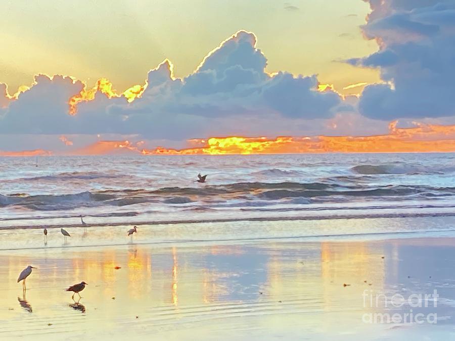 Sunrise at the Shores Photograph by Julianne Felton