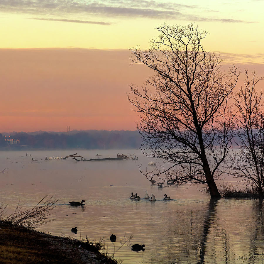 Sunrise at White Rock Lake Photograph by Debby Richards
