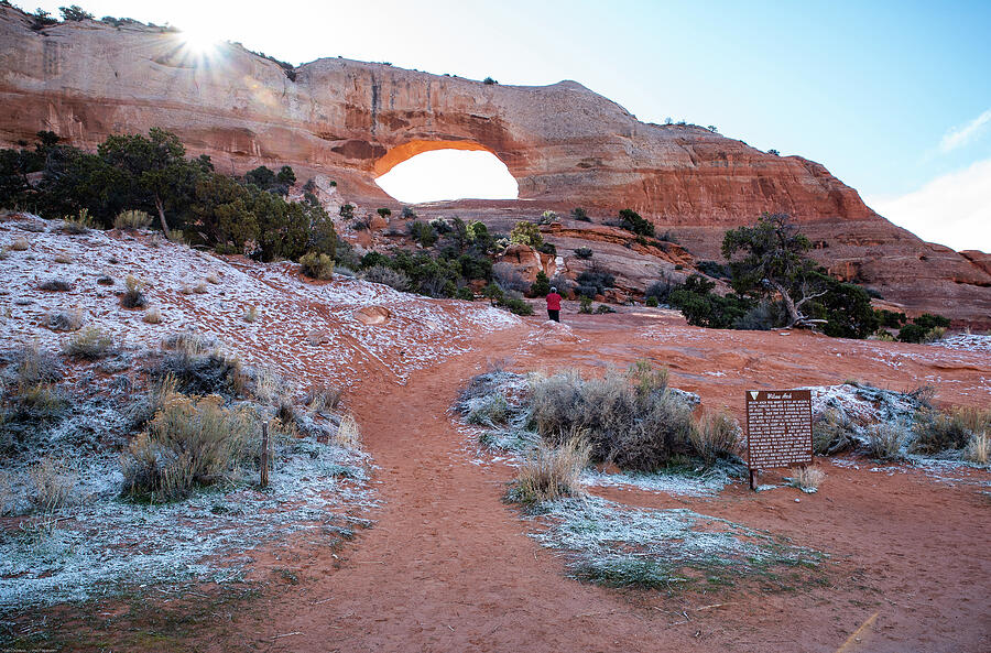 Sunrise at Wilson Arch Photograph by Tom Cochran