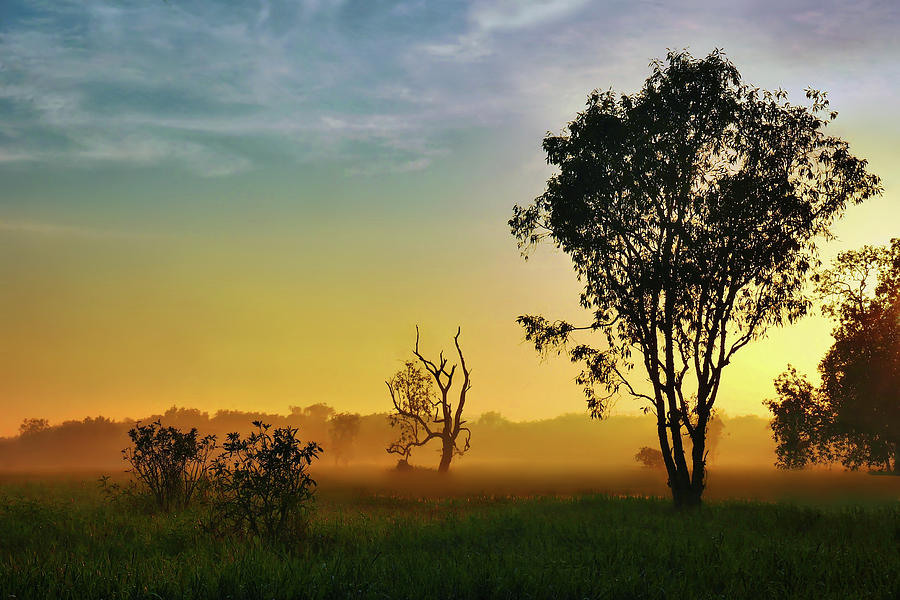 Sunrise at Yellow Water - Kakadu NP Photograph by Lexa Harpell