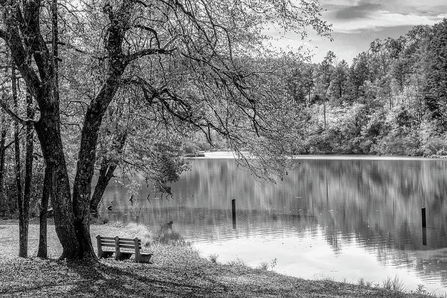 Sunrise Autumn Black and White at the Lake Photograph by Debra and Dave Vanderlaan
