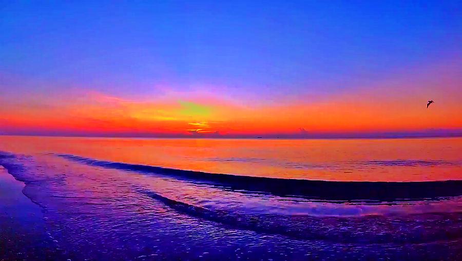 Sunrise Beach 485 Photograph by Rip Read