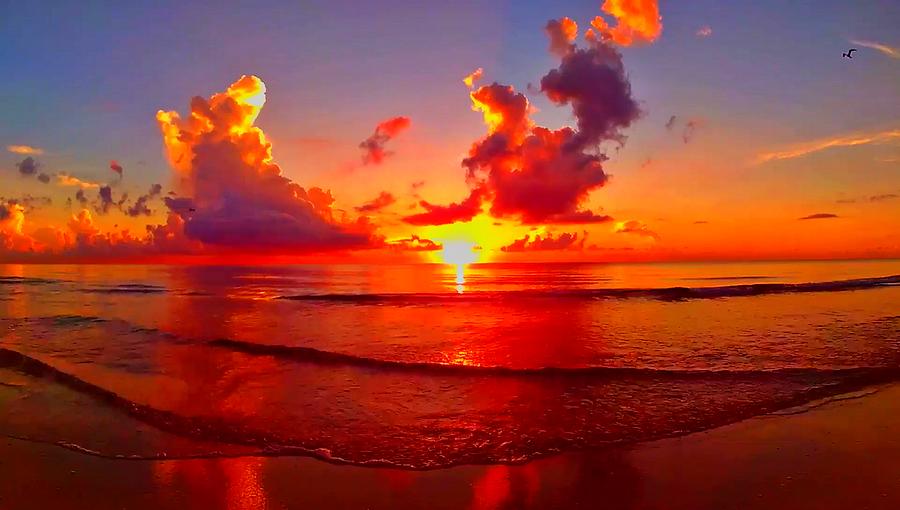 Sunrise Beach 501 Photograph by Rip Read