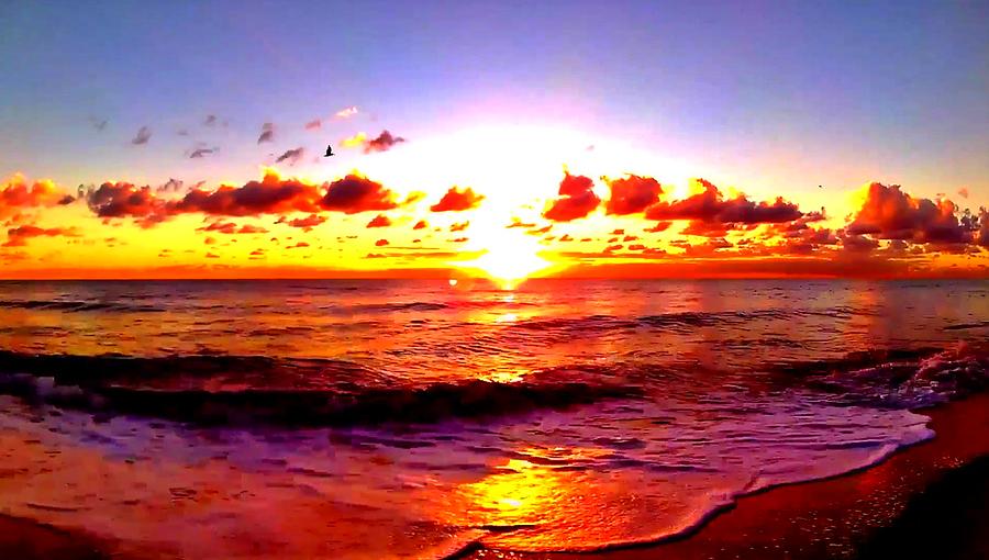 Sunrise Beach 961 Photograph by Rip Read