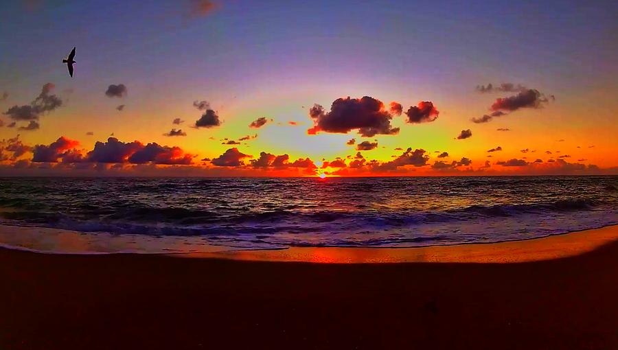 Sunrise Beach 989 Photograph by Rip Read