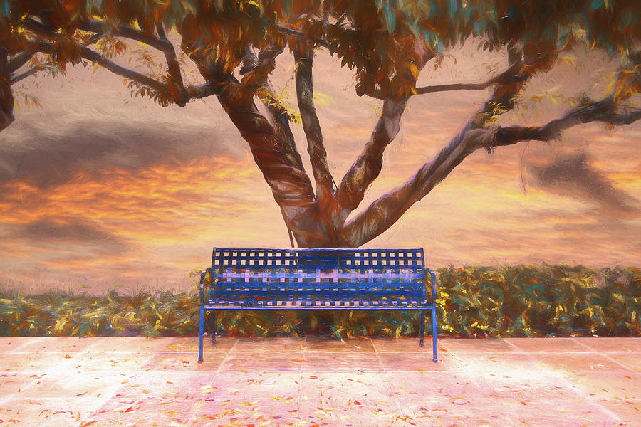 Sunrise Beach Bench Painting  Photograph by Debra and Dave Vanderlaan