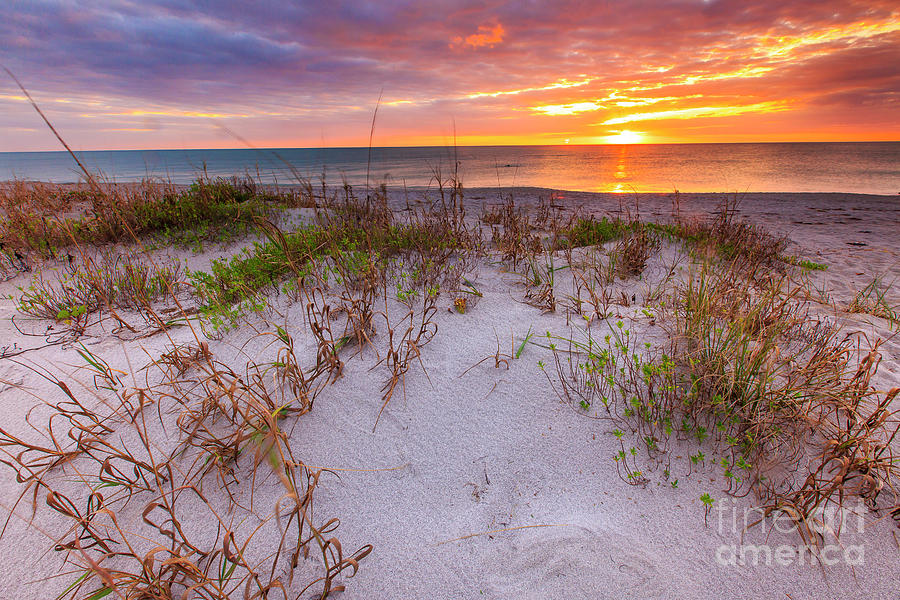 Sunrise Beach Florida West Coast Sunrise Photograph by Ben Graham ...