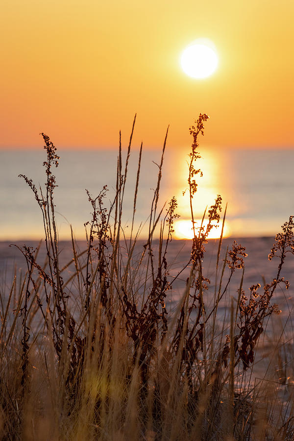 Sunrise Beach Photograph by Glenn Davis