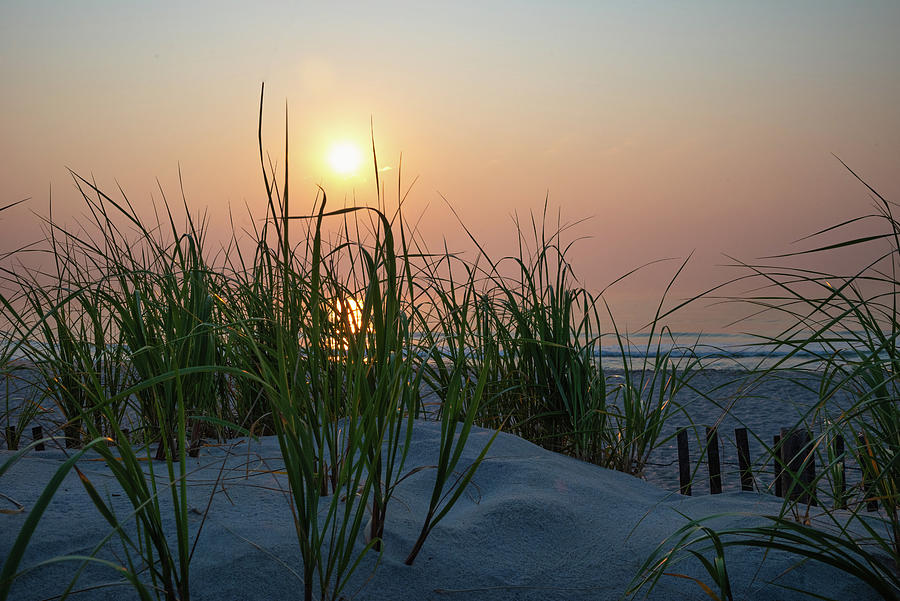 Sunrise behind the Dune Grass Photograph by Matthew DeGrushe