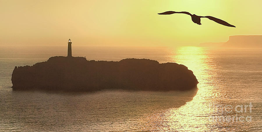 Sunrise Bird Island And Lighthouse Digital Art by Tatiana Bogracheva