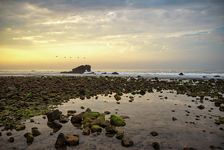 Sunrise Birds Over the Ocean Photograph by Matthew DeGrushe