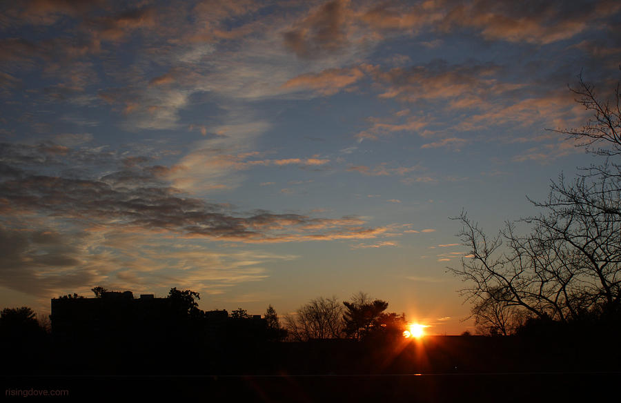 Sunrise Blue and Gold January 19 2021 Photograph by Miriam A Kilmer